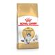 Royal Canin Cat Food Norwegian Forest 10 KG