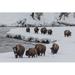 Millwood Pines Bison on the Madison River in Winter, Yellowstone National Park by Mtnmichelle - Wrapped Canvas Photograph Canvas | Wayfair