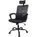 Office Chair, Ergonomic Mesh Home Office Computer Chair with Lumbar Support/Adjustable Headrest/Armrest