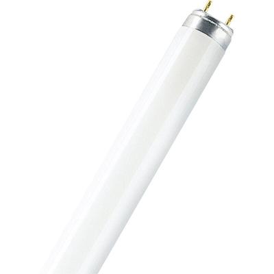 Osram - Leuchtstoffröhre eek: g (a - g) G13 15 w Warmweiß Röhrenform (ø x l) 26 mm x 451.6 mm 1 St.