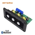 SOTAMIA-Amplificateur de son stéréo Bluetooth 5.0 carte audio 2x20W amplificateur de puissance