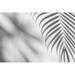 Bay Isle Home™ Shadows Palm Leaf on White Wall Background. for Creative Design Summer Concept - Wrapped Canvas Graphic Art Canvas | Wayfair