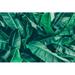 Bay Isle Home™ Tropical Banana Palm Leaves - Wrapped Canvas Photograph Metal | 32 H x 48 W x 1.25 D in | Wayfair BA31DA181B71485996BE0CD497FAB3ED