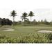 Bay Isle Home™ Golf Course w/ Palm Trees & Bunkers - Wrapped Canvas Photograph Canvas | 20 H x 30 W x 1.25 D in | Wayfair