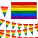 Pride Flag 3 X 5 ft Colorful Pennant Flags Banner 30ft Multicolor Pennant Banner Nylon Cloth Flag Pennants for Party Celebrations and Shops Decorations