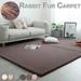 YouLoveIt Soft Fluffy Rugs Rectangle Fur Area Rugs Floor Mat Bedroom Fuzzy Rugs Bedside Rug for Boys Girls Bedroom Living Room Home Decor Mat