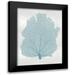 Miller Melonie 19x24 Black Modern Framed Museum Art Print Titled - Sea Fan Aqua I