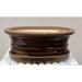 Bonsai Boy of New York L380a 8.5 x 7 x 3 in. Bronze Ceramic Bonsai Pot with Humidity Drip Tray Oval