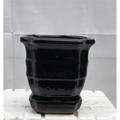 Bonsai Boy of New York L256e 5.5 x 5.5 x 5.5 in. Black Ceramic Bonsai Pot with Humidity & Drip Tray Square