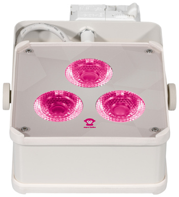 Ape Labs Track Maxi V2 15° RGBNW Creme