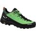 Salewa Alp Trainer 2 GTX Hiking Boots - Men's Pale Frog/Black 11.5 00-0000061400-5660-11.5