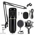 BM800 Condenser Microphone Kit Professional Cardioid Studio Mic Kit with Recording Arm Stand Shock Mount Pop Filter for Recording Podcasting Voice Over Streaming Home Studio YouTube