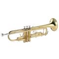 OWSOO Trumpet Bb Flat Brass Gold-painted Exquisite Durable Musical Instrument with Mouthpiece Gloves Strap Case