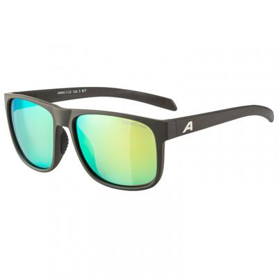 Alpina - Nacan III Mirror Cat. 3 - Sonnenbrille bunt Image