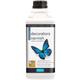 Polyvine - Decorators Varnish - Dead Flat - 2 Litre