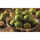 Green Fig Ficus Carica Potted Plants, One Plant