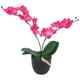 Hommoo - Artificial Orchid Plant with Pot 30 cm Red VD10528