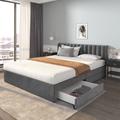 LBF - Lit capitonné double 180 x 200 cm - avec 2 tiroirs, sommier, lit adulte en velours - Gris