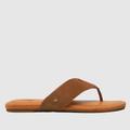 UGG carey flip flop sandals in tan