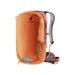 Deuter Race 16 W/2L Backpack Chestnut/Redwood 16 L 320422395120