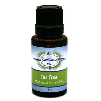 Destination Oils Tea Tree Essential Oil | 3 H x 1.5 W x 2 D in | Wayfair Teatree15ml
