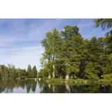 Winston Porter Lake in Castle of Chamarande - Wrapped Canvas Photograph Canvas in White | 24 H x 36 W x 1.25 D in | Wayfair