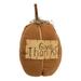 The Holiday Aisle® Ellexus Give Thanks Pumpkin Fabric in Brown | 11.5 H x 6.5 W x 6.5 D in | Wayfair 244337E7830B4360A5C31EFFD95EC4E0