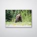 Loon Peak® Roadside Bear - Photograph Canvas/Metal in Brown/Green/Yellow | 40 H x 28 W x 0.12 D in | Wayfair CB5CAA272E9642ED86BF06758C9BA1F1