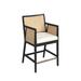 Bayou Breeze Antonia Cane Counter Stool Wood/Wicker/Rattan in Black/Brown | 38.75 H x 21.75 W x 23.5 D in | Wayfair