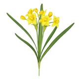 Set of 3 Yellow Artificial Daffodil Flower Stem Bush Bouquet 22in - 22" L x 8" W x 5" DP
