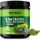 NATURELO Raw Greens Whole Food Powder with Grasses Like Spirulina, Chlorella and Wheat Grass, Fibres Like Inulin, Probiotics, Enzymes and Potent Antioxidants - 30 Vegan Servings (Unsweetened)