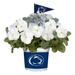 Penn State Nittany Lions Cool Weather Flower Mix