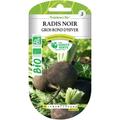 Les Doigts Verts - Graines de radis noir gros rond d'hiver bio