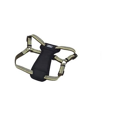 K9 Explorer Reflective Adjustable Padded Dog Harness, Fern, Small, 5/8-in x 16-24-in