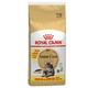 10+2kg Maine Coon Adult Royal Canin Croquettes pour chat