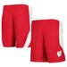 Youth Red Wisconsin Badgers Team Mesh Shorts