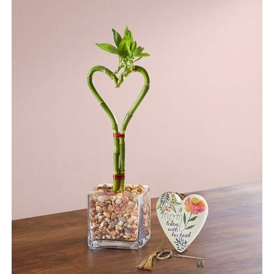1-800-Flowers Plant Delivery Sweetheart Bamboo For Mother's Day Single W/ Mom Keepsake | Happiness Delivered To Their Door