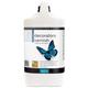 Polyvine - Decorators Varnish - Dead Flat - 4 Litre