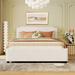 Upholstered Platform Bed with Stud Trim Headboard and Footboard and 4 Drawers No Box Spring Needed, Velvet Fabric