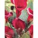 Rotteveel Bulb Calla Lily Majestic Red (Pack of 1)