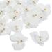 Uxcell 2.8 Artificial Silk Phalaenopsis Orchid Flower Heads for DIY Wedding Decor Pure White 40 Pack