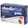 Shedirflu Gola Ment/Euc 48Past 48 g Pastiglie