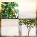 Primrue 36" Artificial Lemon Tree in Pot Plastic in Yellow | 36 H x 5 W x 5 D in | Wayfair DC3A24E7D6EB484A8D515E1DD399C5A9