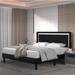 Red Barrel Studio® Arielis Panel Bed Upholstered/Velvet in Black/White | 45.7 H x 61.4 W x 81.5 D in | Wayfair A161782C88F54D4BB1E3D7C2200C3987