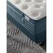 Aireloom Preferred Streamline 14-inch Extra Firm Mattress