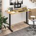 FlexiSpot 100% Bamboo Whole-Piece Desktop Ergonomic Electric Home Office Standing Desk Memory Controller