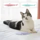 Jouet en Silicone pour chat et poisson menthe brosse à dents propre à mâcher cataire