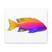 Rosecliff Heights Colorful Fish Stretched Canvas in Blue/Orange | 11 H x 14 W x 2 D in | Wayfair 68514691C54D4B1BA7D6CDCA0BA3641A