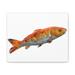 Rosecliff Heights Orange Fish Stretched Canvas in Orange/White | 9 H x 12 W x 2 D in | Wayfair C38F3672A9C943C5A372FA6DAA4E35B6