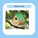 Bay Isle Home™ Daykin 8 in x 7 in x 6 in Birdhouse Wood in Brown/Green | 7.8 H x 6.9 W x 5.9 D in | Wayfair CFA61C1F69F04002B9E0F24CB74CC4D6